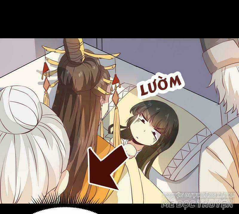 Công Chúa Là Nam Nhân Chapter 14 trang 14