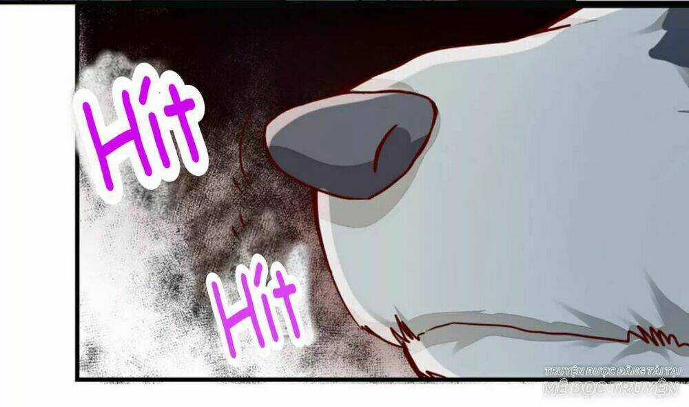 Công Chúa Là Nam Nhân Chapter 6.2 trang 10