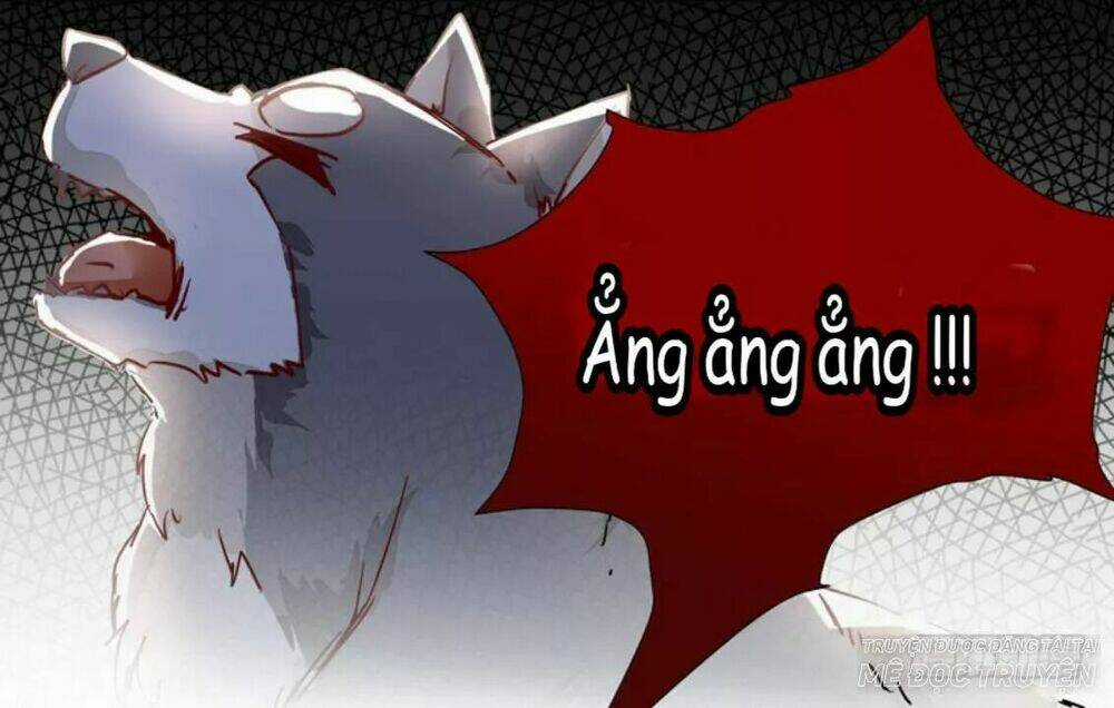 Công Chúa Là Nam Nhân Chapter 6.2 trang 5