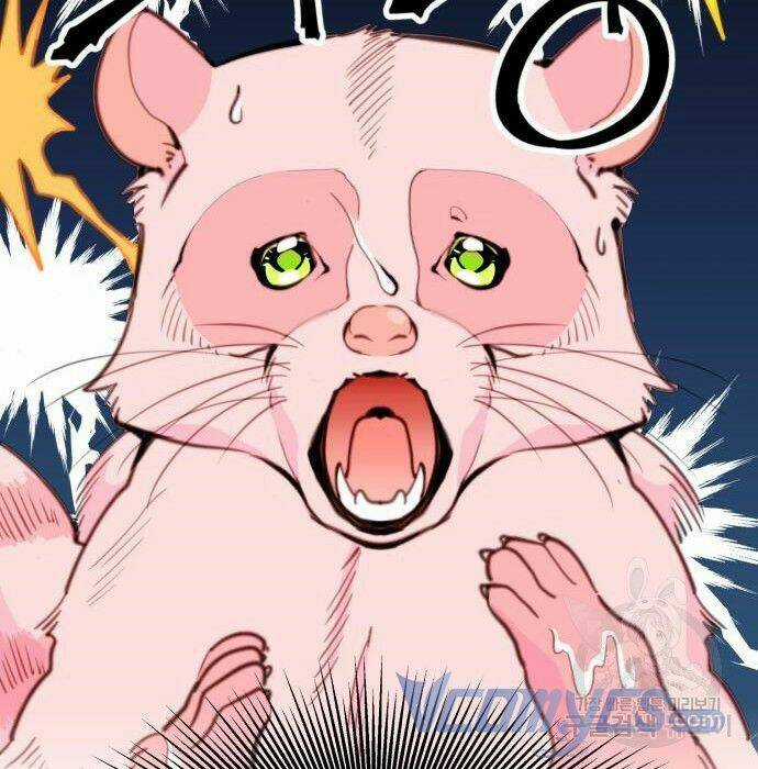 Công Chúa Lotto Chapter 12 trang 51