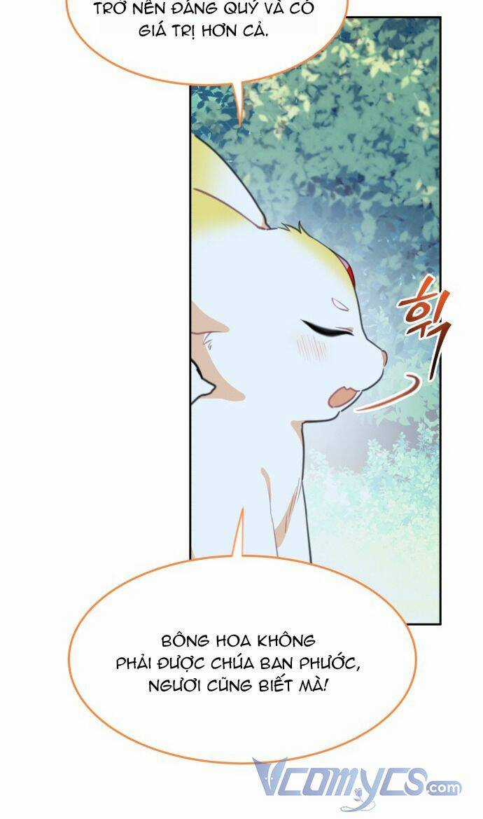 Công Chúa Lotto Chapter 31 trang 11