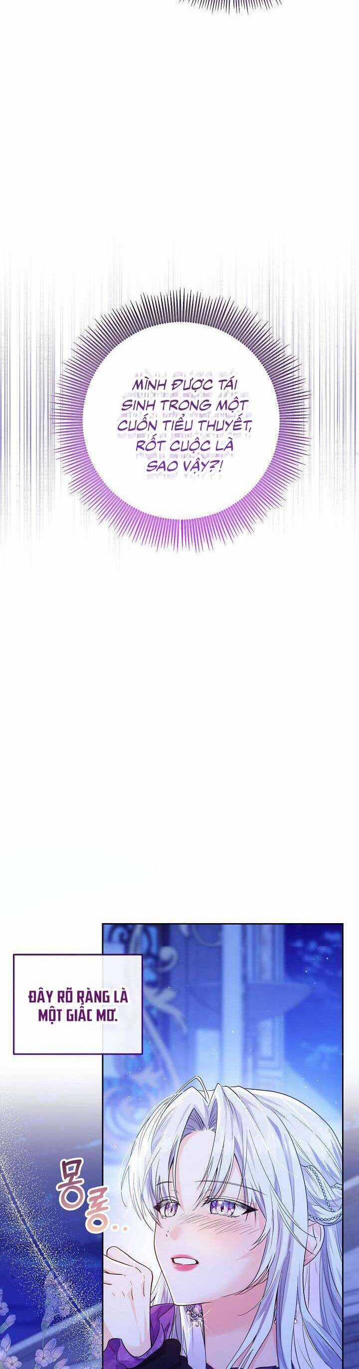 Công Chúa Nhân Danh Fan Cứng Chapter 1 trang 13