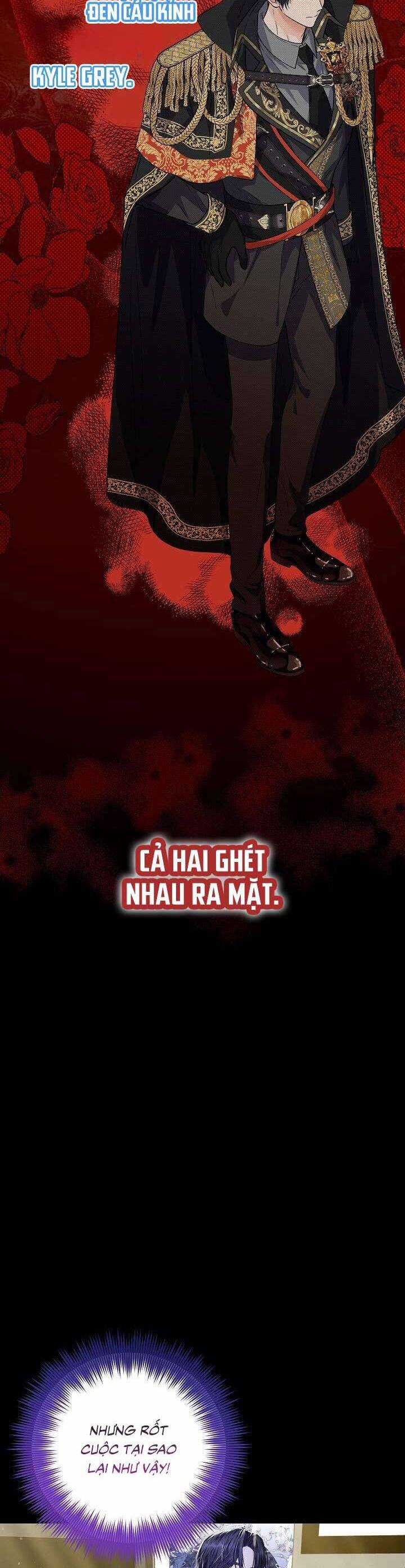 Công Chúa Nhân Danh Fan Cứng Chapter 1 trang 53