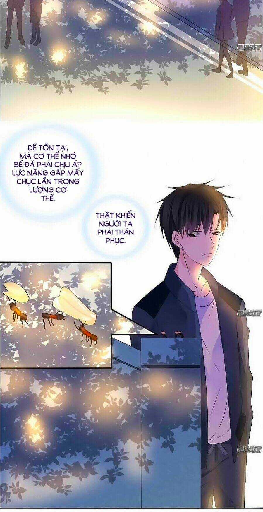 Công Chúa Nữ Vương Mệnh Chapter 29 trang 1