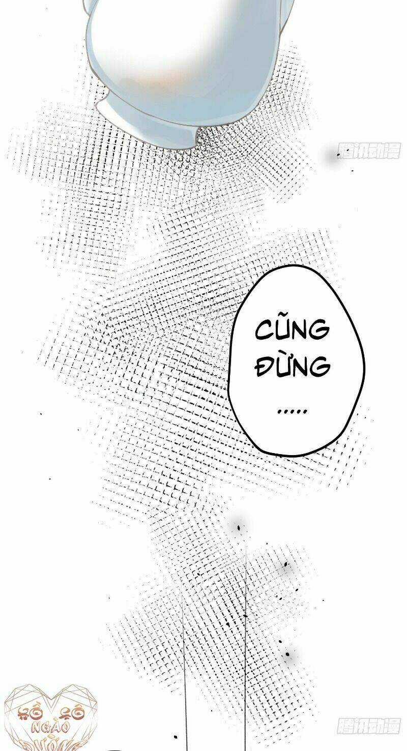 Công Chúa Pháo Hôi Muốn Tùy Tiện Đến Cùng Chapter 16 trang 13