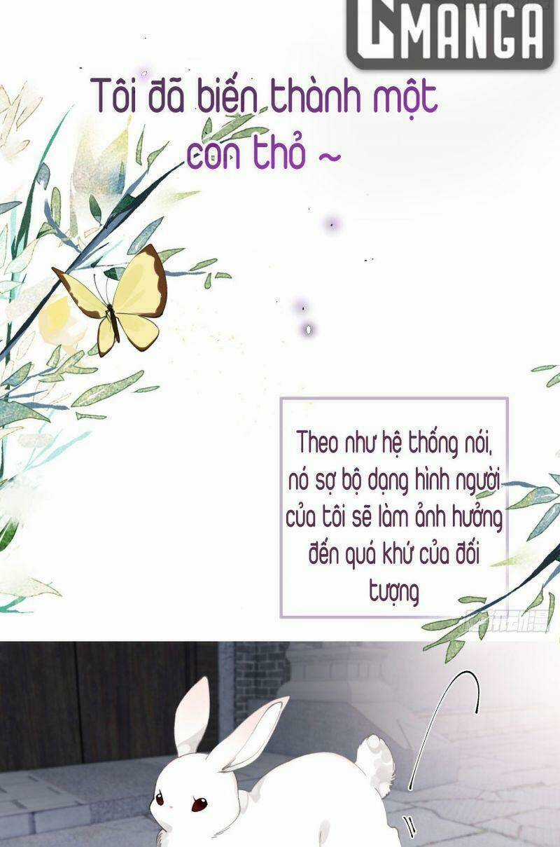 Công Chúa Pháo Hôi Muốn Tùy Tiện Đến Cùng Chapter 26 trang 2