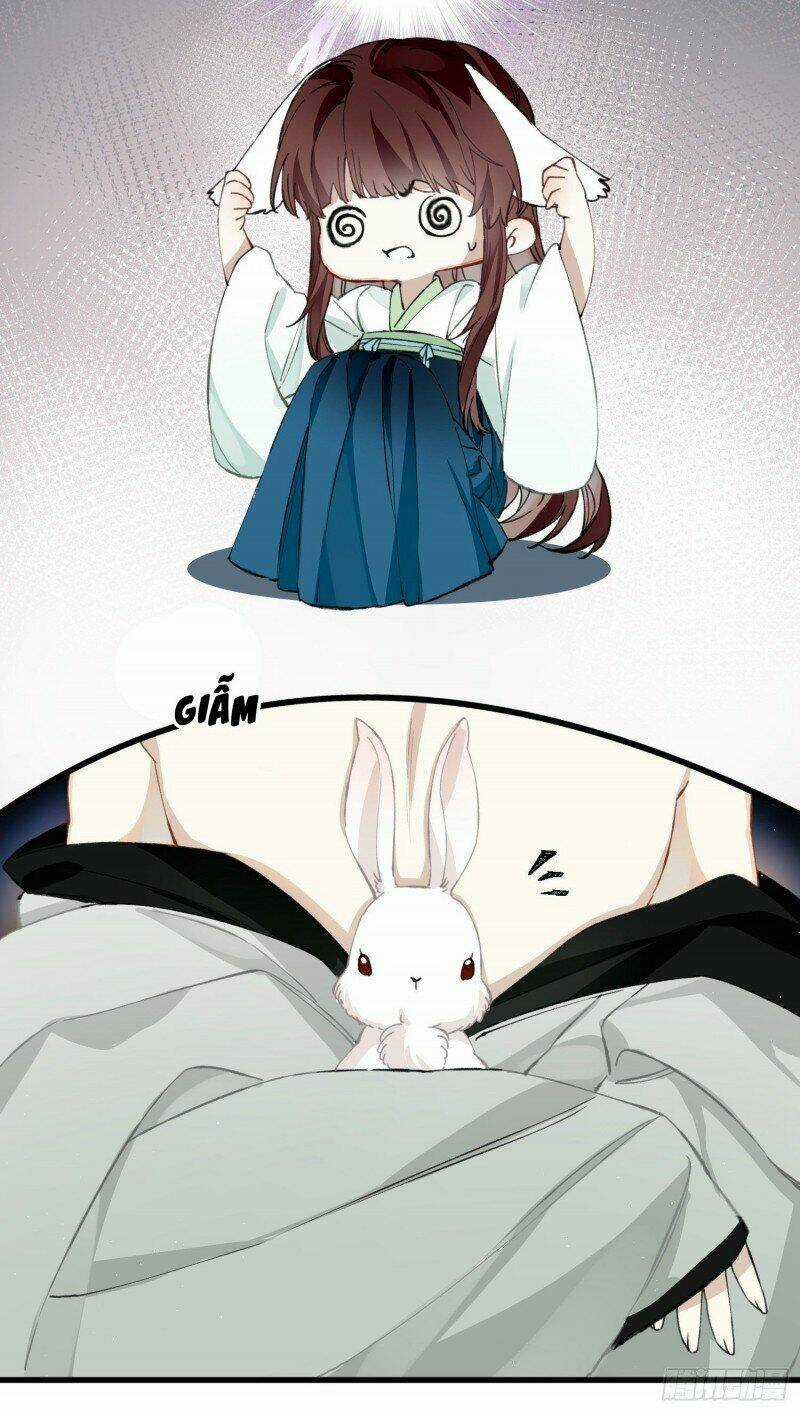 Công Chúa Pháo Hôi Muốn Tùy Tiện Đến Cùng Chapter 28 trang 12