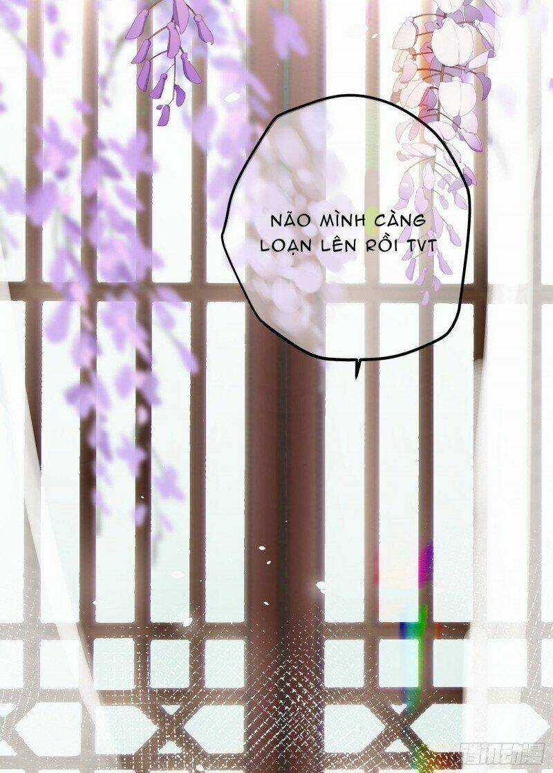 Công Chúa Pháo Hôi Muốn Tùy Tiện Đến Cùng Chapter 29 trang 6