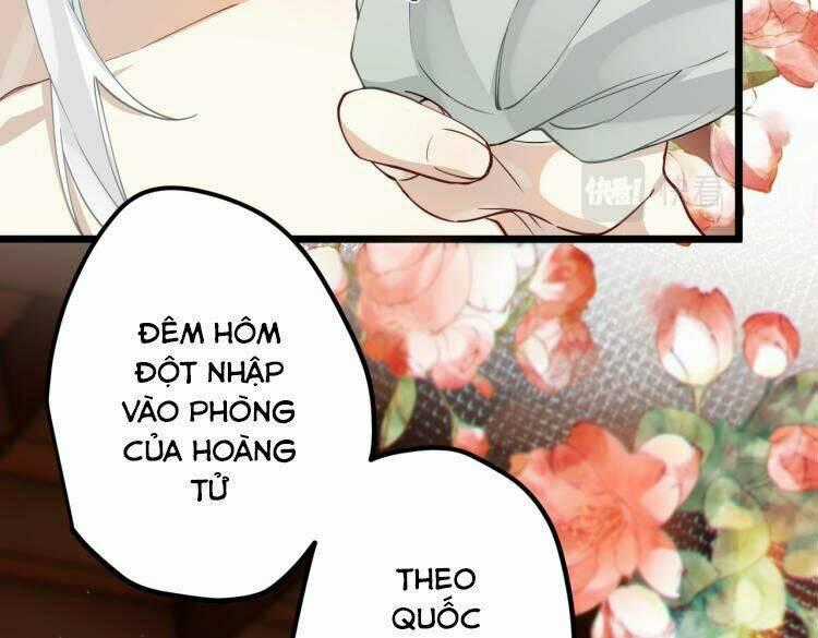 Công Chúa Pháo Hôi Muốn Tùy Tiện Đến Cùng Chapter 45 trang 1