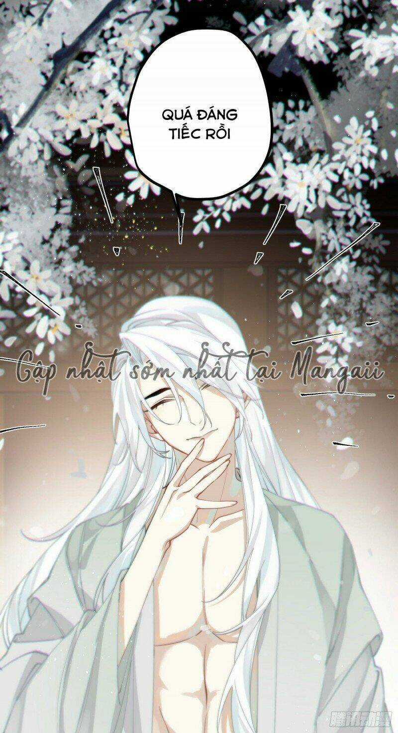 Công Chúa Pháo Hôi Muốn Tùy Tiện Đến Cùng Chapter 46 trang 4