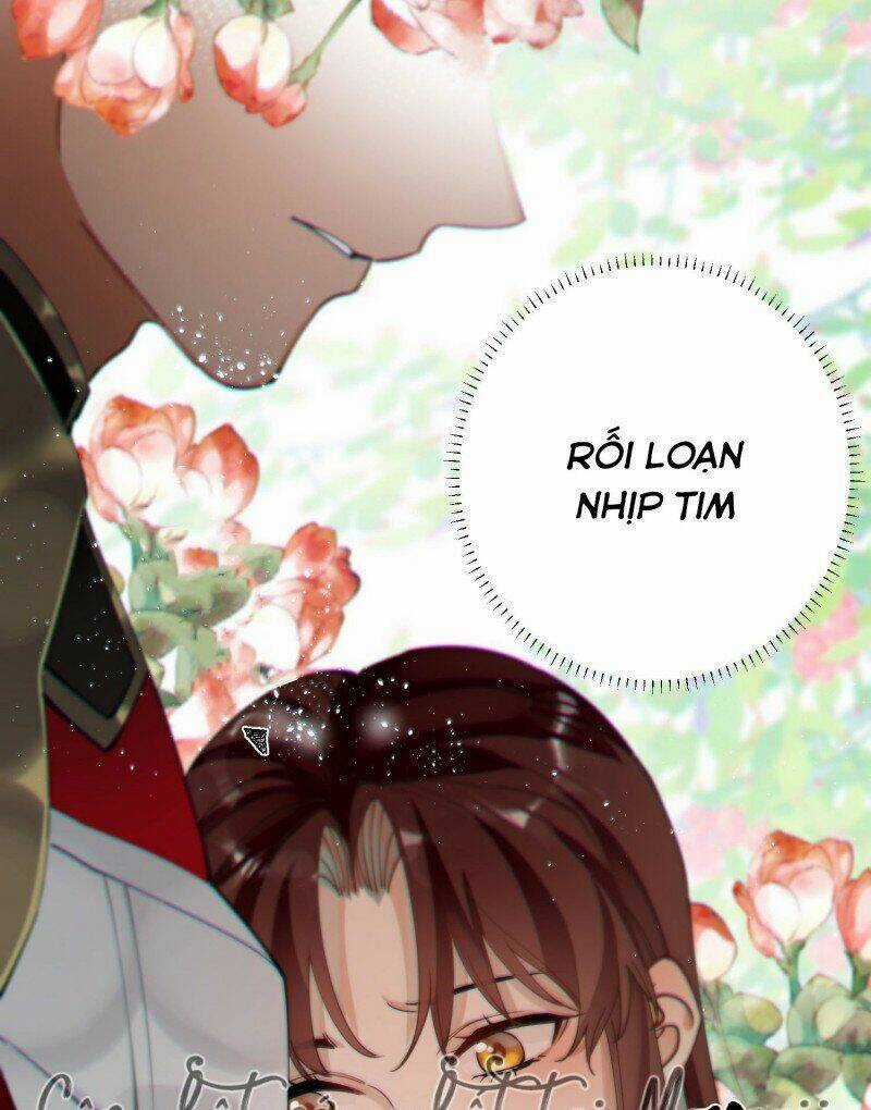 Công Chúa Pháo Hôi Muốn Tùy Tiện Đến Cùng Chapter 47 trang 5