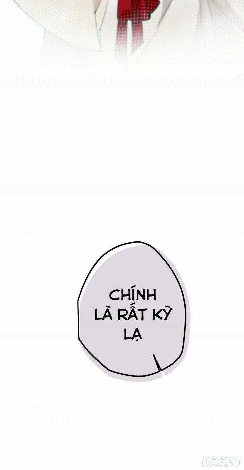 Công Chúa Pháo Hôi Muốn Tùy Tiện Đến Cùng Chapter 48 trang 10