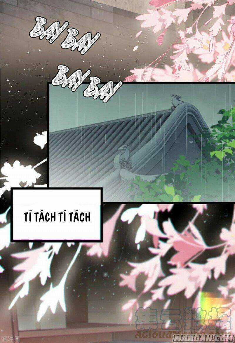 Công Chúa Pháo Hôi Muốn Tùy Tiện Đến Cùng Chapter 60 trang 6