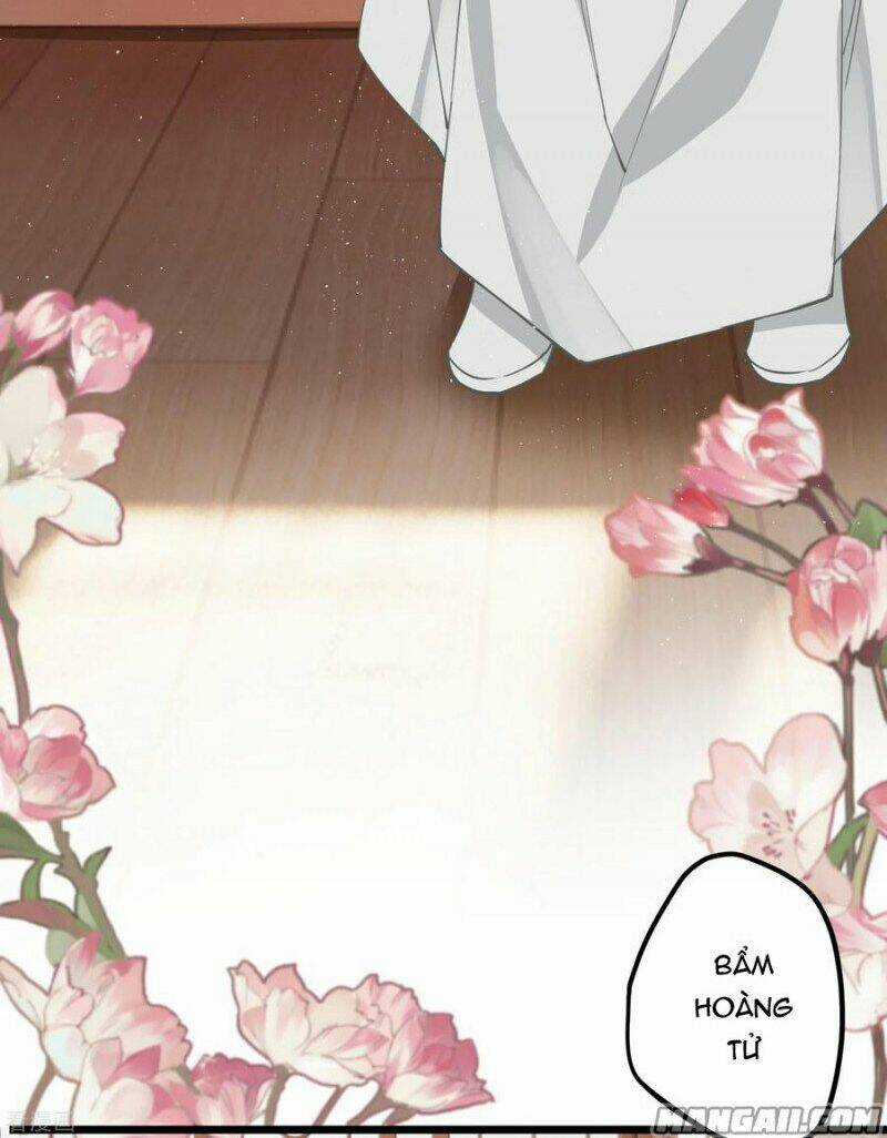 Công Chúa Pháo Hôi Muốn Tùy Tiện Đến Cùng Chapter 61 trang 13