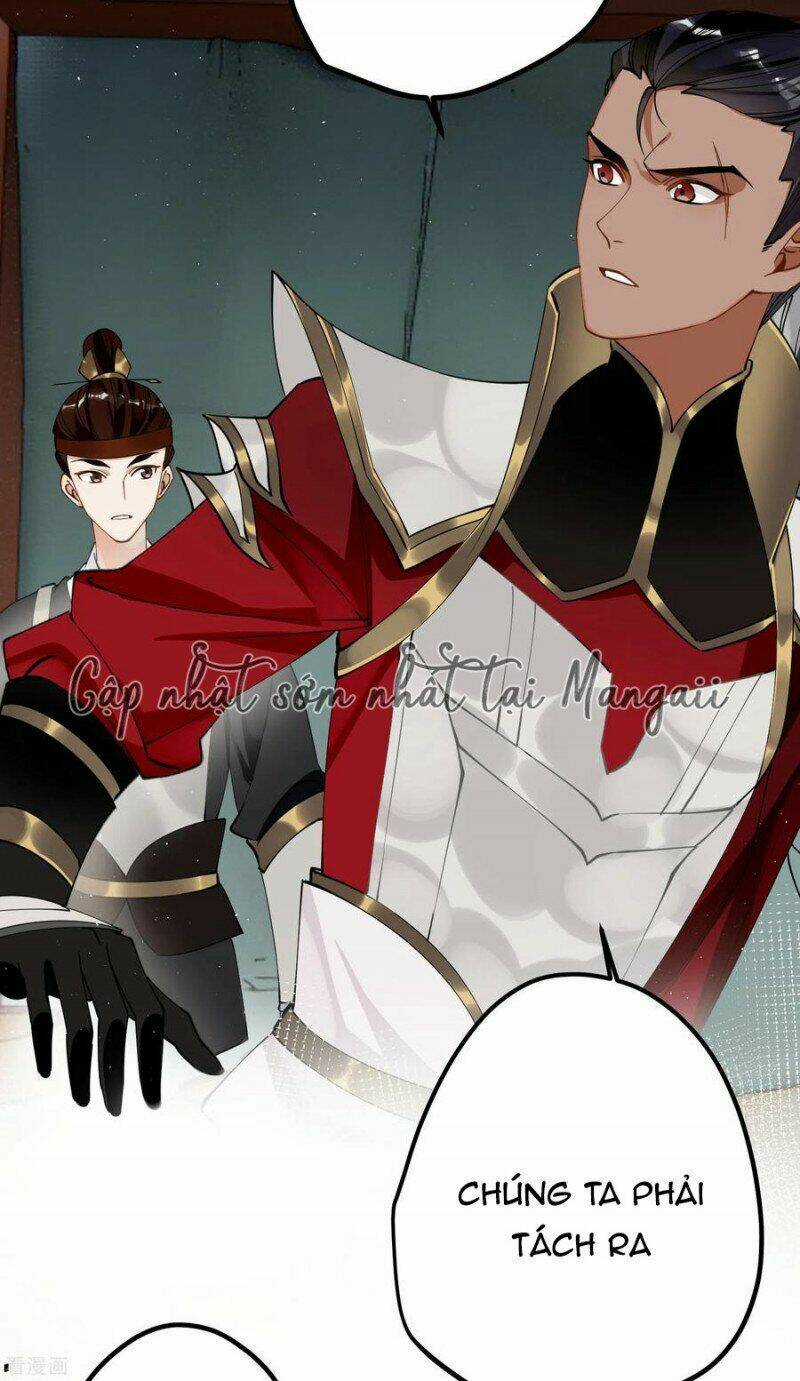 Công Chúa Pháo Hôi Muốn Tùy Tiện Đến Cùng Chapter 61 trang 5