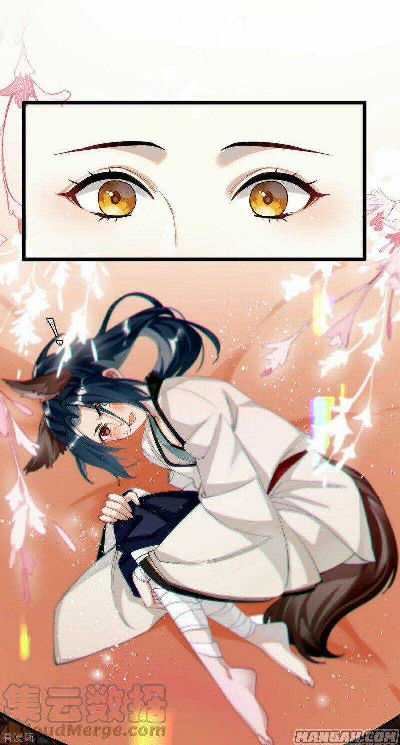 Công Chúa Pháo Hôi Muốn Tùy Tiện Đến Cùng Chapter 62 trang 12