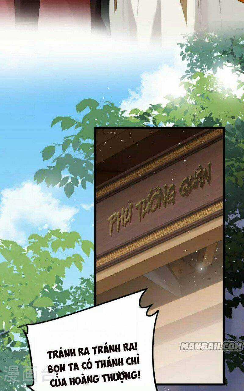 Công Chúa Pháo Hôi Muốn Tùy Tiện Đến Cùng Chapter 67 trang 14