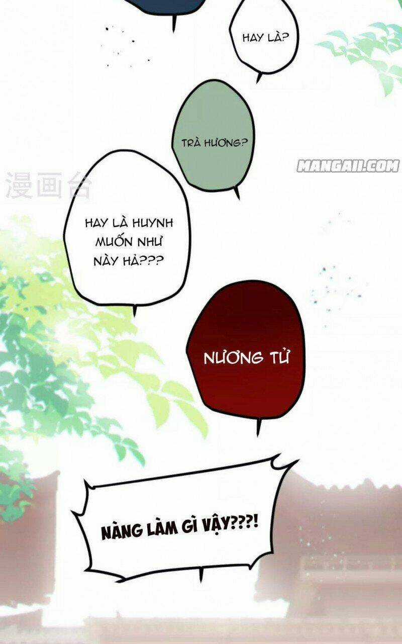 Công Chúa Pháo Hôi Muốn Tùy Tiện Đến Cùng Chapter 67 trang 4