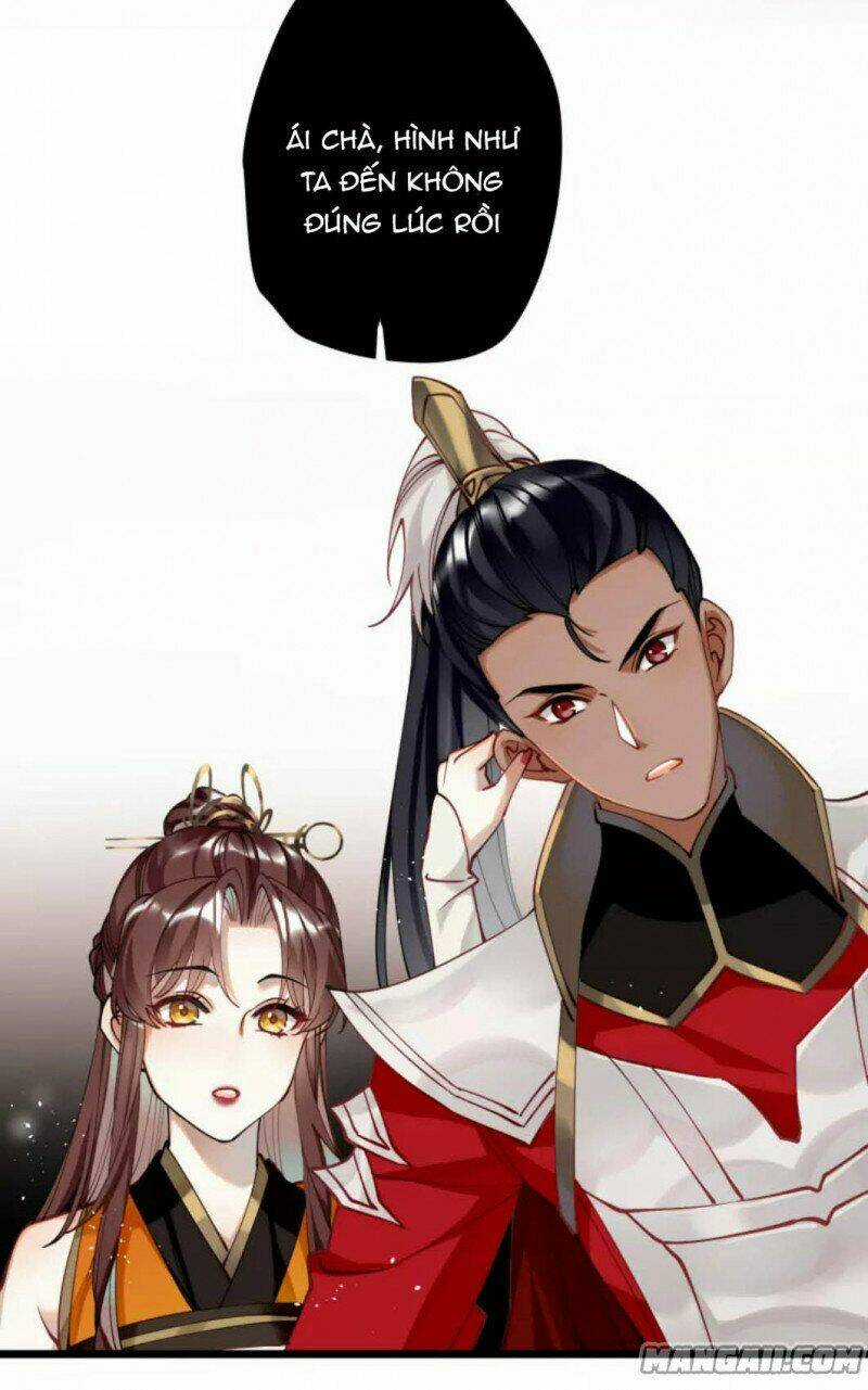 Công Chúa Pháo Hôi Muốn Tùy Tiện Đến Cùng Chapter 67 trang 6