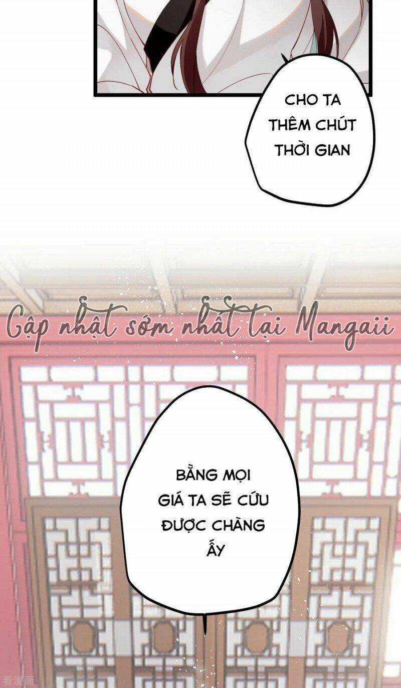 Công Chúa Pháo Hôi Muốn Tùy Tiện Đến Cùng Chapter 69 trang 14