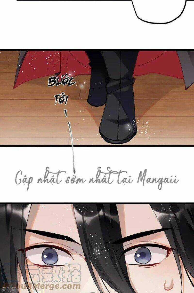 Công Chúa Pháo Hôi Muốn Tùy Tiện Đến Cùng Chapter 73 trang 4