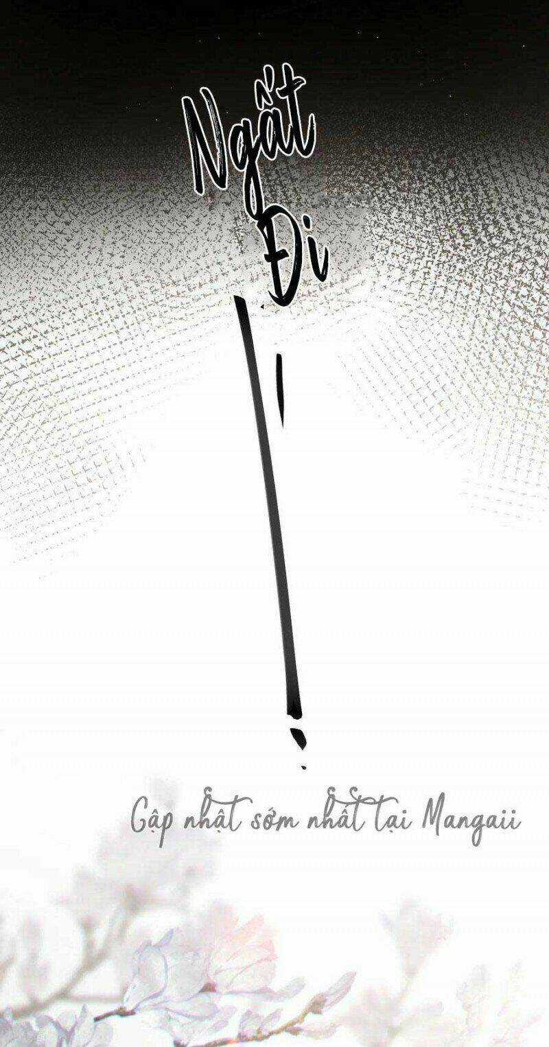 Công Chúa Pháo Hôi Muốn Tùy Tiện Đến Cùng Chapter 75 trang 4