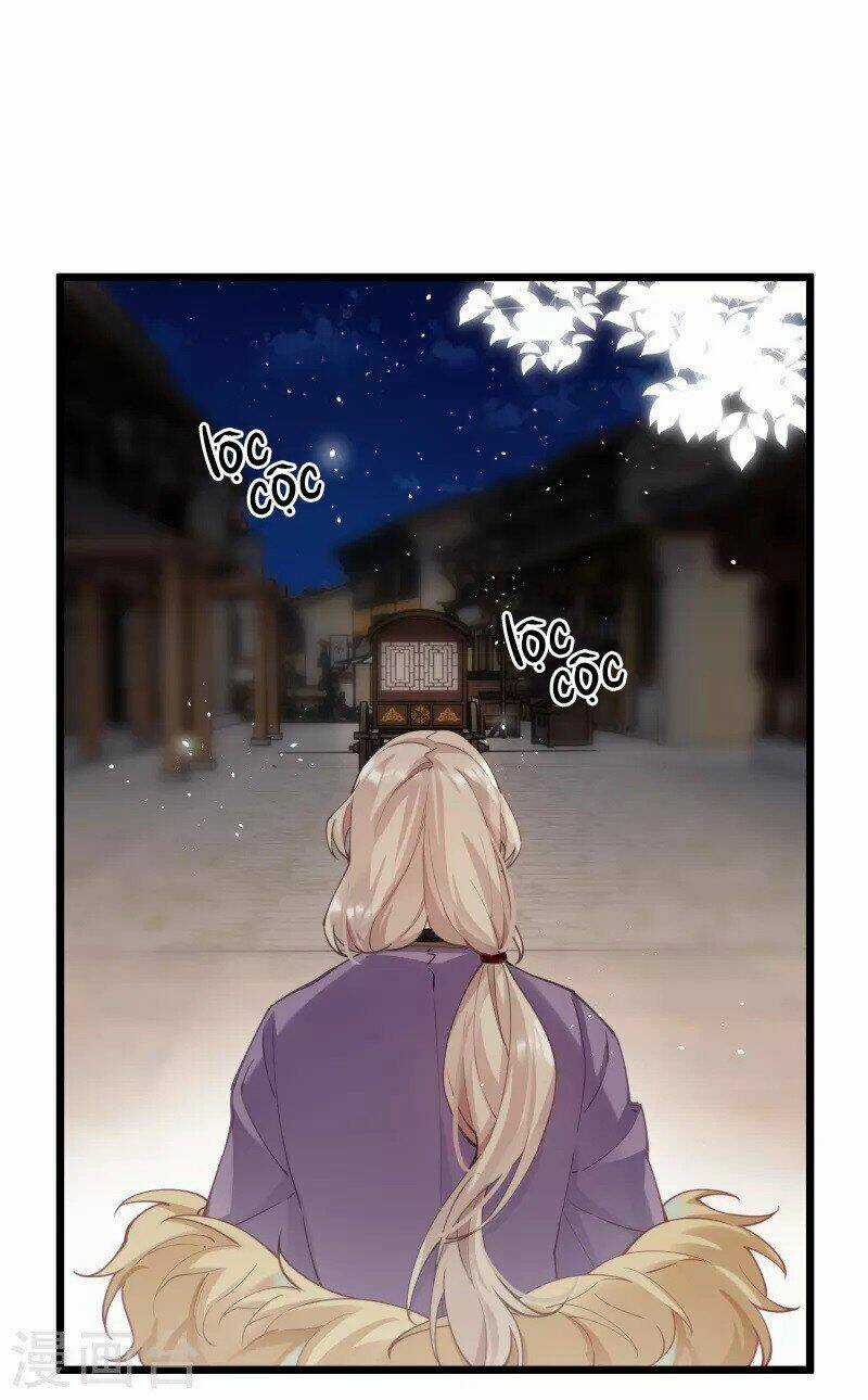 Công Chúa Pháo Hôi Muốn Tùy Tiện Đến Cùng Chapter 79 trang 5