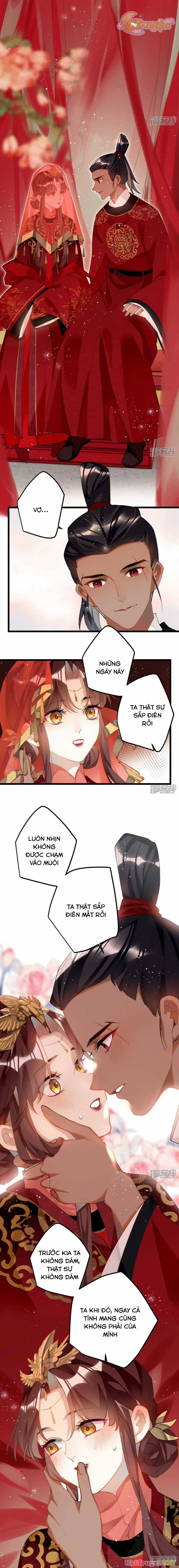 Công Chúa Pháo Hôi Muốn Tùy Tiện Đến Cùng Chapter 99 trang 3