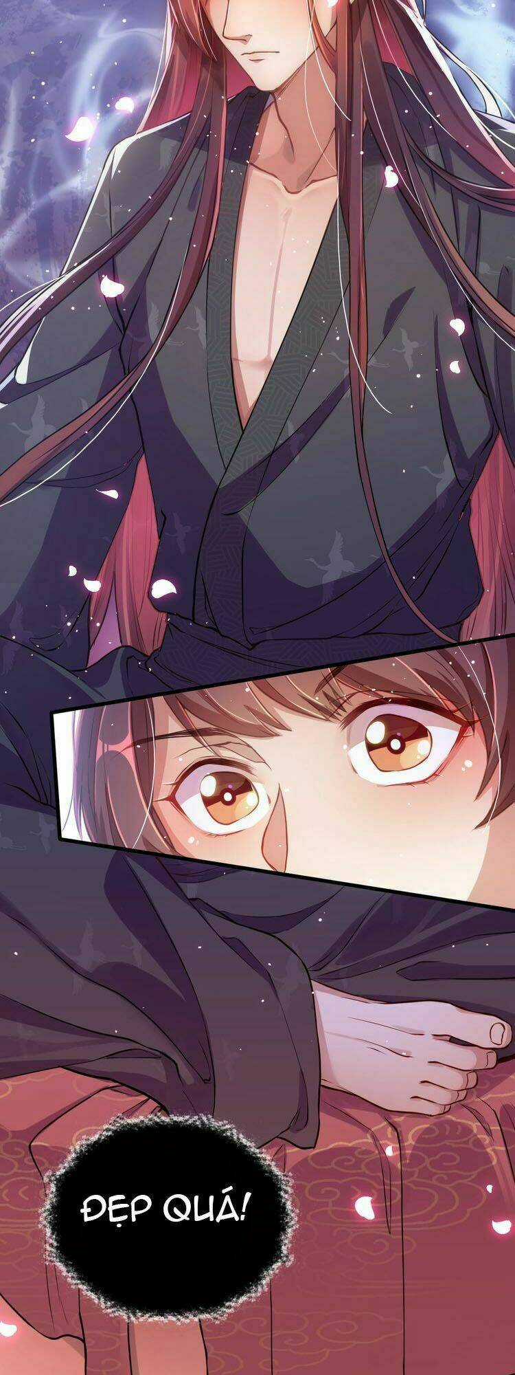 Công Chúa Tại Thượng: Quốc Sư Mời Xuống Kiệu Chapter 2 trang 9