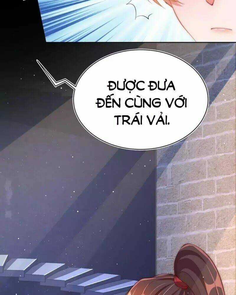 Công Chúa Tại Thượng: Quốc Sư Mời Xuống Kiệu Chapter 33 trang 48