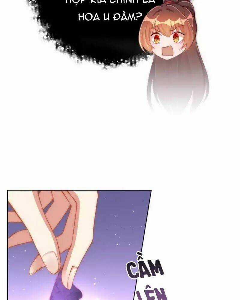 Công Chúa Tại Thượng: Quốc Sư Mời Xuống Kiệu Chapter 33 trang 63