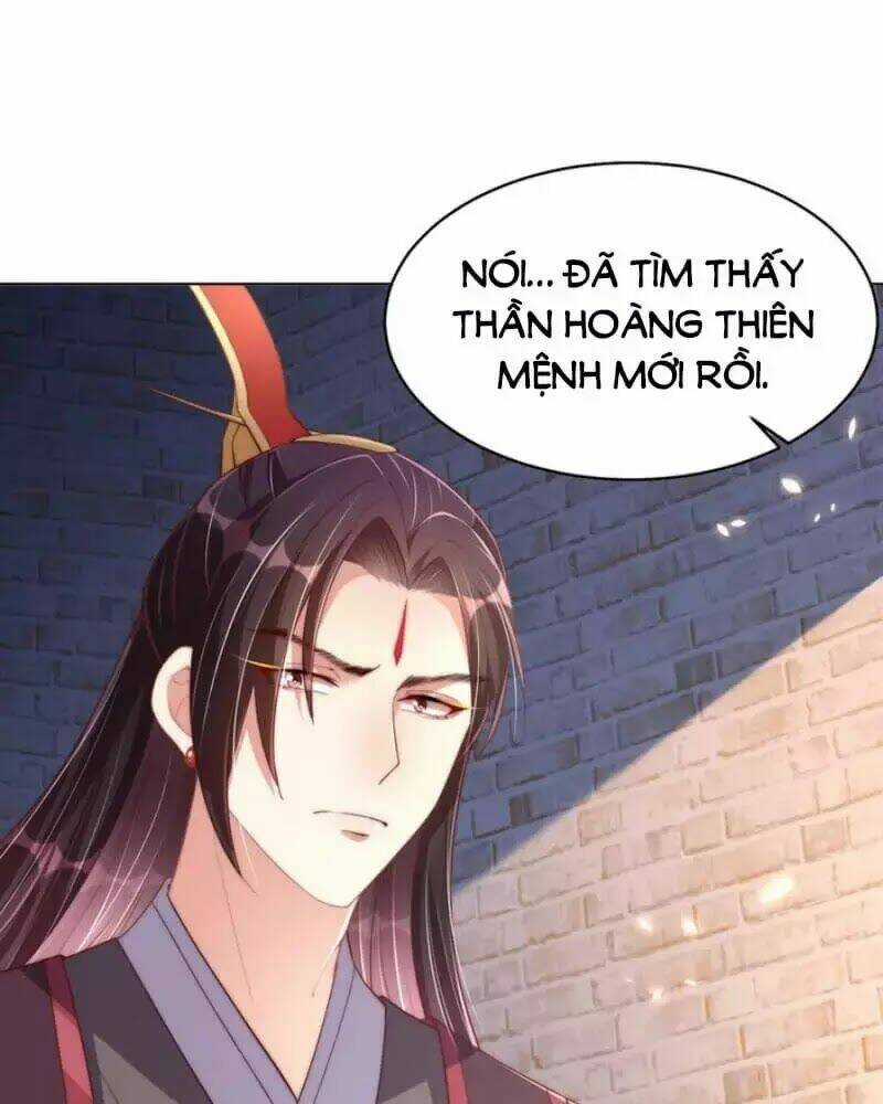 Công Chúa Tại Thượng: Quốc Sư Mời Xuống Kiệu Chapter 36 trang 17