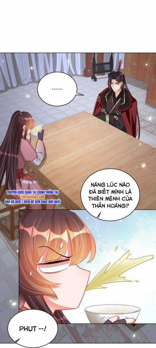 Công Chúa Tại Thượng: Quốc Sư Mời Xuống Kiệu Chapter 75 trang 14