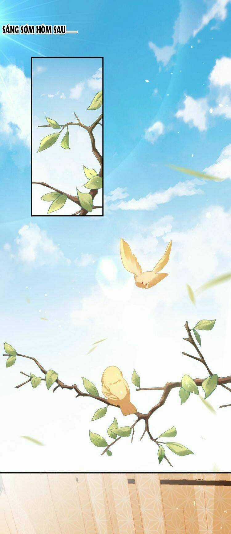 Công Chúa Tại Thượng: Quốc Sư Mời Xuống Kiệu Chapter 8 trang 5