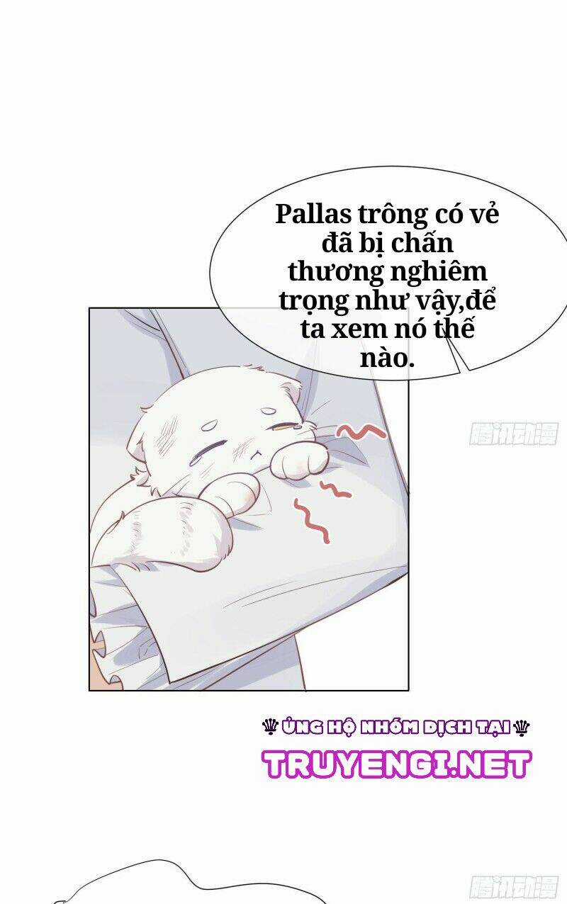 Công Lược Của Mami Chapter 10 trang 25