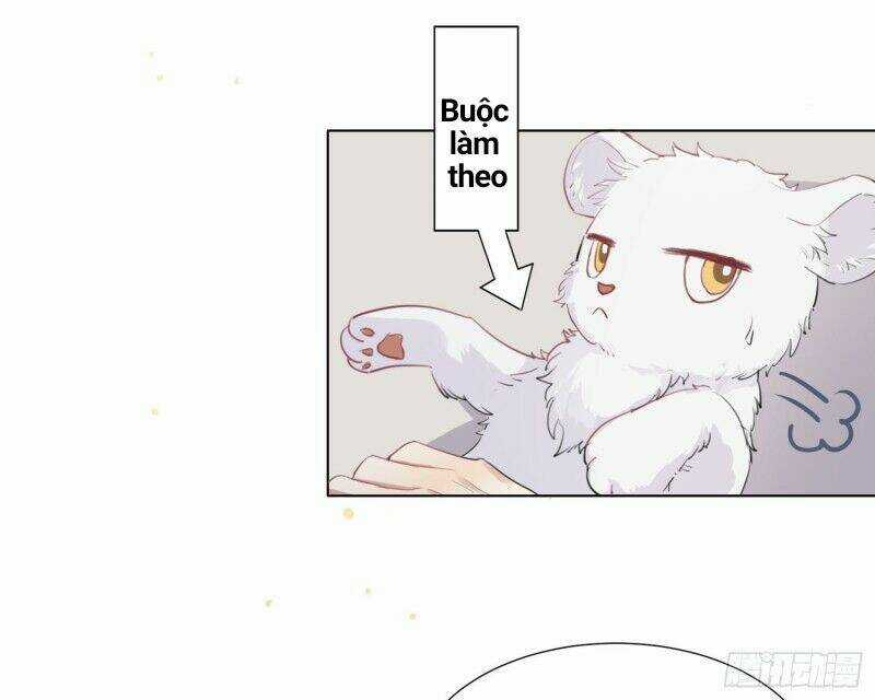 Công Lược Của Mami Chapter 2 trang 15