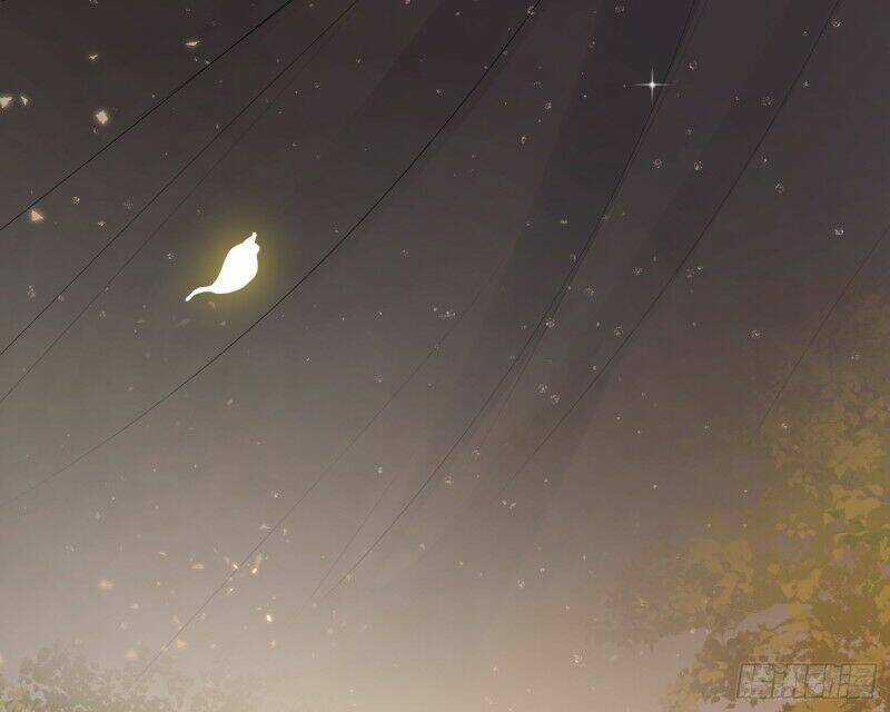 Công Lược Của Mami Chapter 8 trang 18