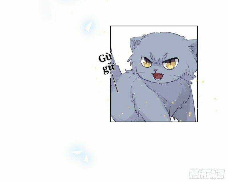 Công Lược Của Mami Chapter 9 trang 56