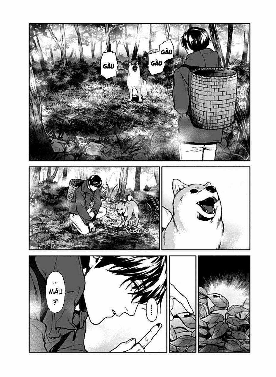 Công Lý Tàn Bạo Chapter 15 trang 11