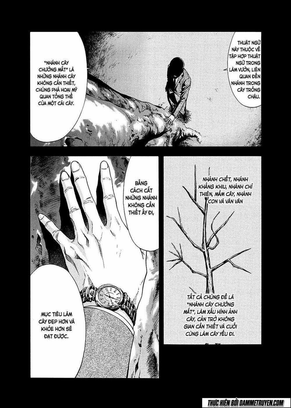 Công Lý Và Bóng Tối Chapter 77 trang 15