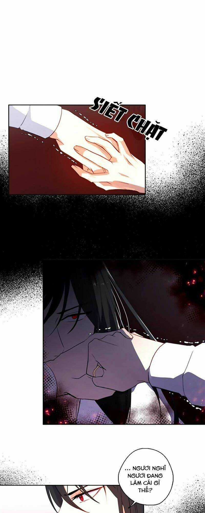 CỘNG TÁC CỦA HOÀNG ĐẾ Chapter 17 trang 3