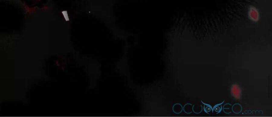 Công Tước Ác Quỷ Không Ngủ Được Chapter 12 trang 103