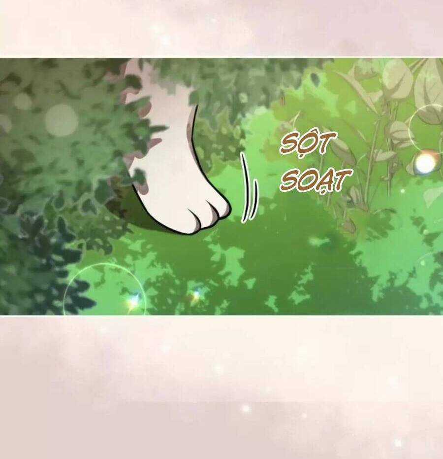 Công Tước Ác Quỷ Không Ngủ Được Chapter 27 trang 12