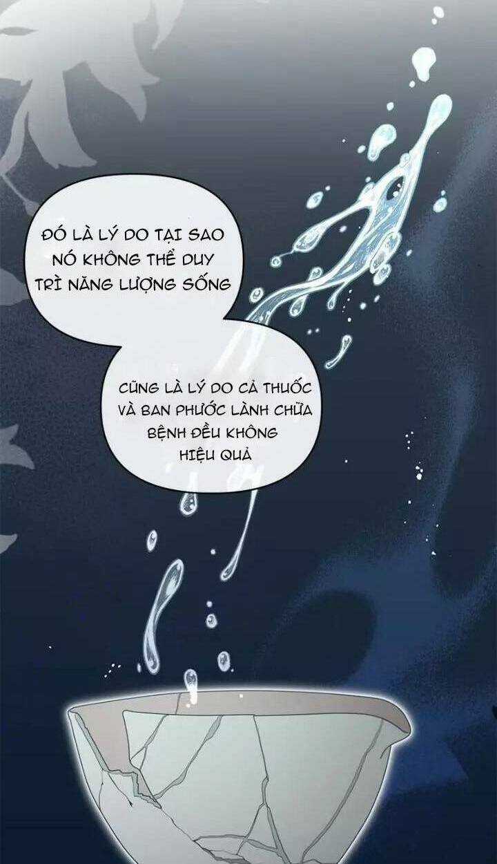 Công Tước Ác Quỷ Không Ngủ Được Chapter 49 trang 3