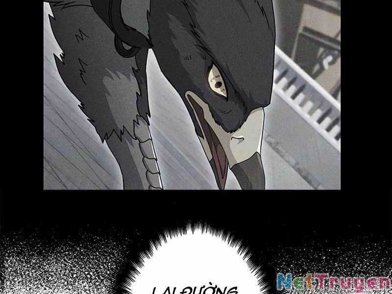 Công Tước Bạch Long Chapter 44: ss2 trang 255