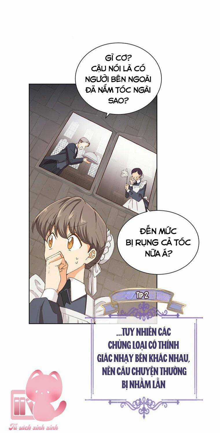 Công Tước, Đó Là Anh Trai Tôi Chapter 5 trang 21