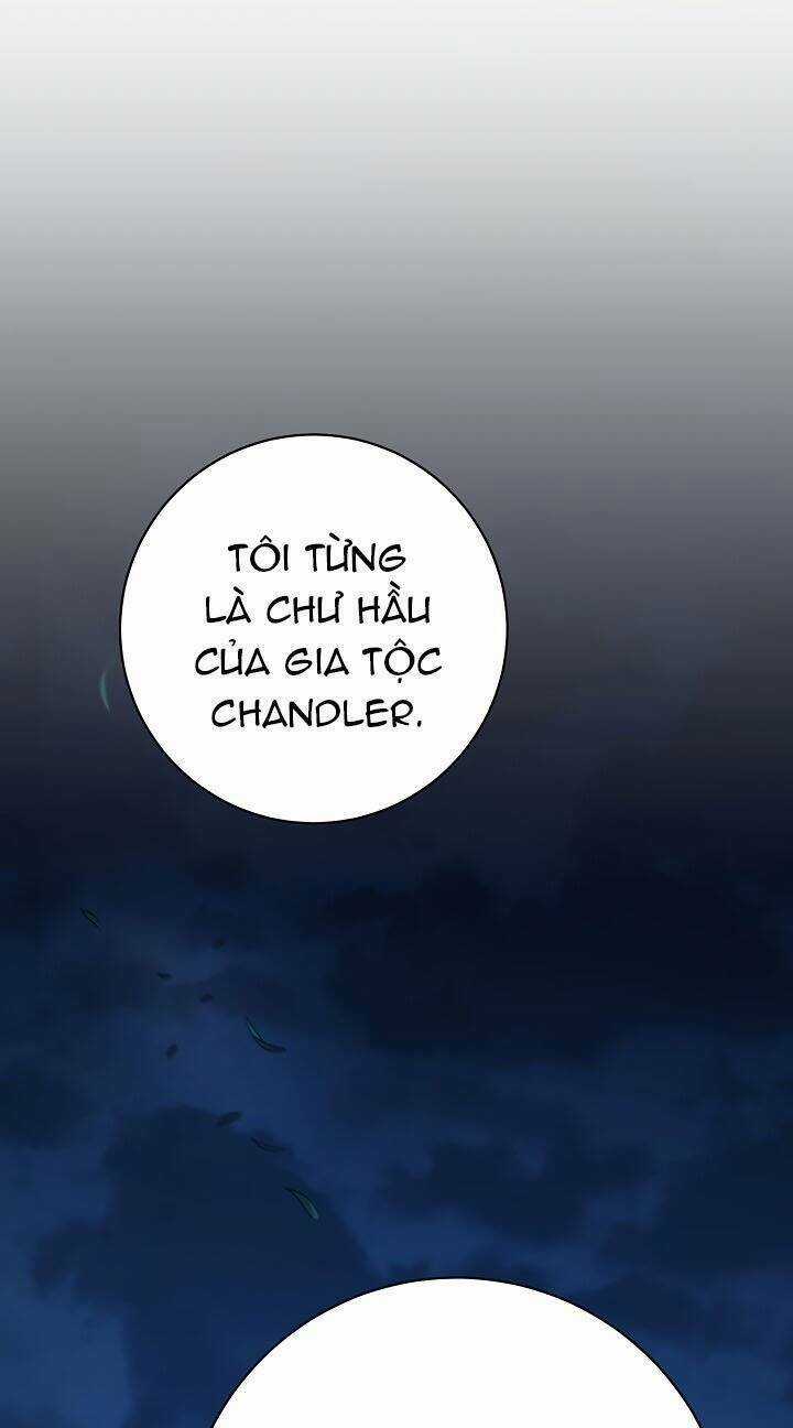 Cốt Binh Hồi Quy Chapter 202 trang 1