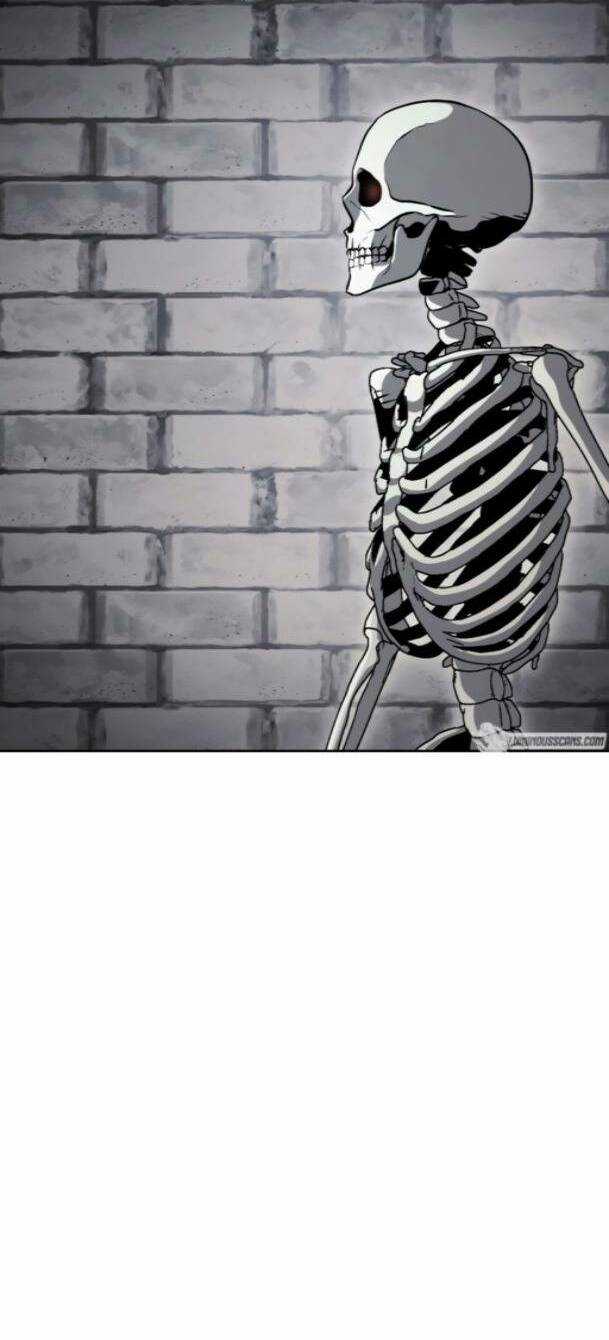 Cốt Binh Hồi Quy Chapter 229 trang 47