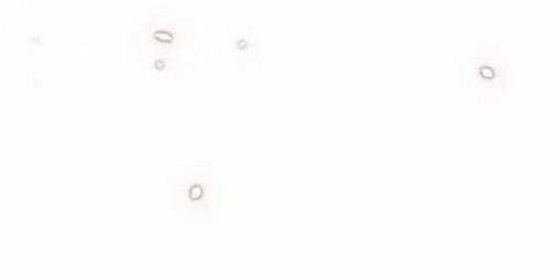 Cốt Binh Trở Lại Chương 23 trang 12