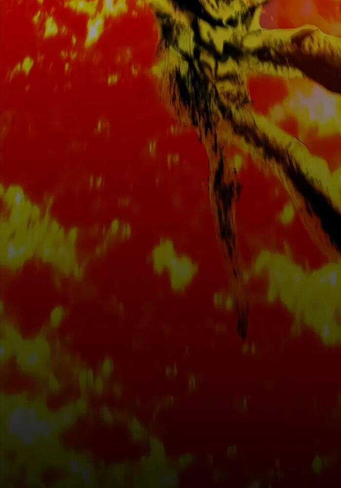 Cốt Nhân Chương 4 trang 182